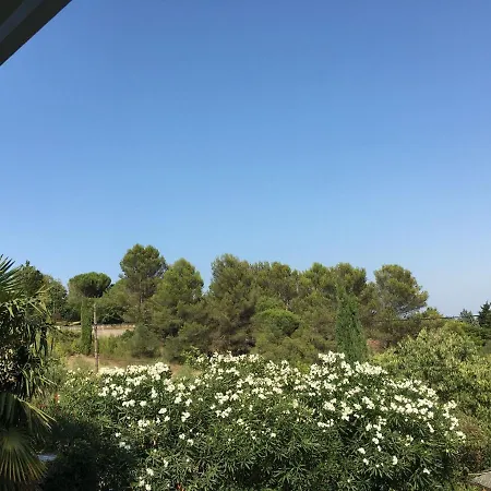 Pretty Villa With Pool And Jacuzzi In Carcassonne